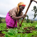 ABAN and SAIS Join Hands to Empower Angel Investors in Climate-Smart Agriculture